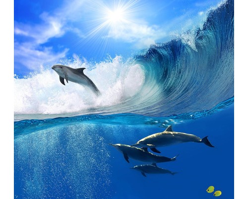 Фотообои B1-066 Divino Дельфины в волнах, 3 м х 2.7 м