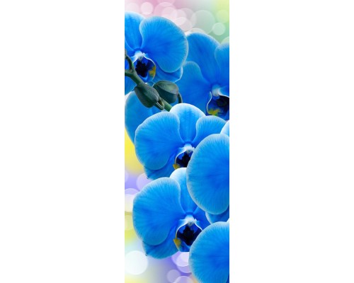 Фотообои A1-088 Divino Орхидея синяя, 1 м х 2.7 м