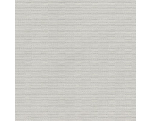 Обои 960921 Rasch Axiom, 10.05 м х 1.06 м, виниловые на флизелине
